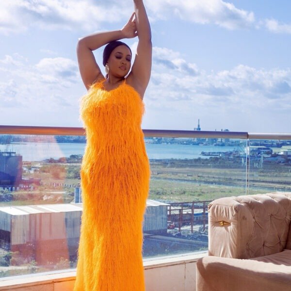 Liya Orange Feather Maxi Dress