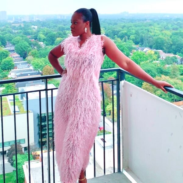 Blush feathered Midi Dress